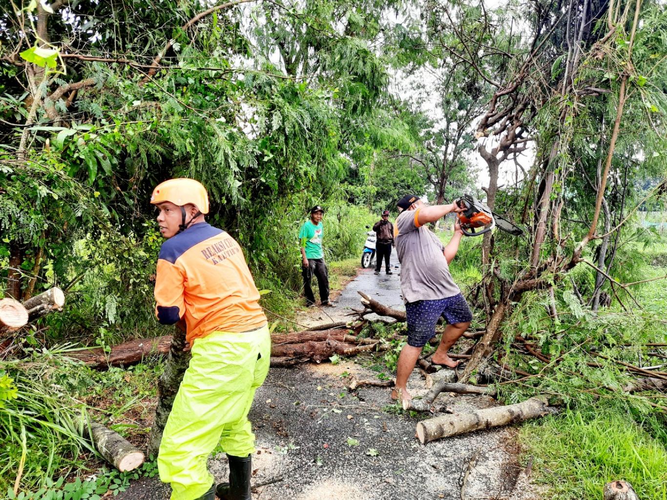 Giat RCK Pembersihan Pohon Tumbang